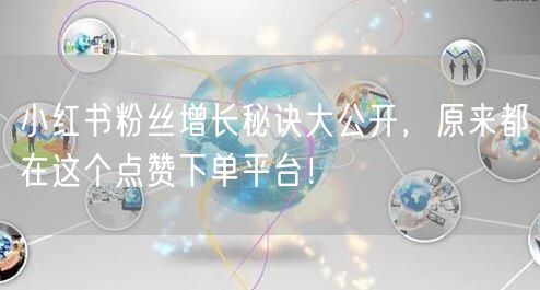 小红书粉丝增长秘诀大公开，原来都在这个点赞下单平台！