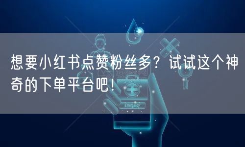 想要小红书点赞粉丝多？试试这个神奇的下单平台吧！