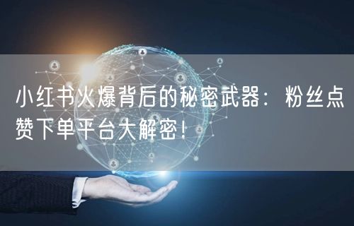 小红书火爆背后的秘密武器：粉丝点赞下单平台大解密！