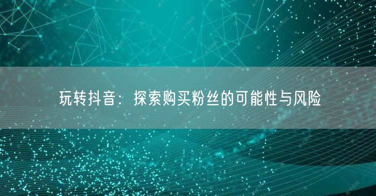 玩转抖音：探索购买粉丝的可能性与风险