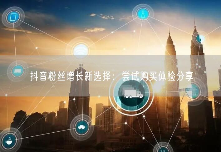 抖音粉丝增长新选择：尝试购买体验分享