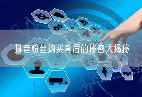 抖音粉丝购买背后的秘密大揭秘
