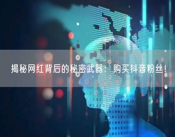 揭秘网红背后的秘密武器：购买抖音粉丝！
