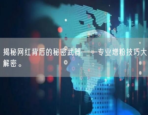 揭秘网红背后的秘密武器——专业增粉技巧大解密。