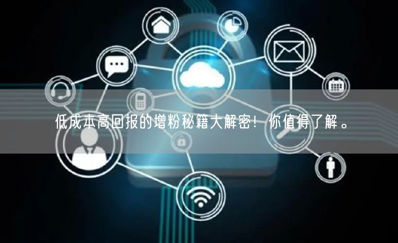 低成本高回报的增粉秘籍大解密！你值得了解。