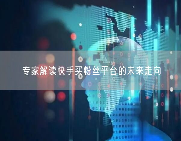 专家解读快手买粉丝平台的未来走向