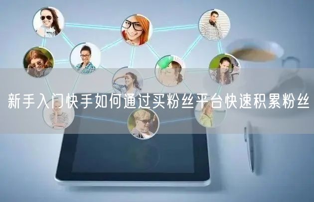 新手入门快手如何通过买粉丝平台快速积累粉丝