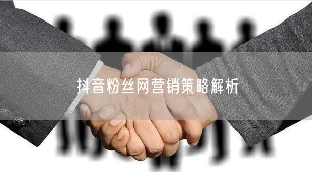 抖音粉丝网营销策略解析