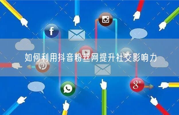 如何利用抖音粉丝网提升社交影响力