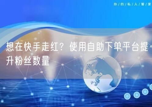 想在快手走红？使用自助下单平台提升粉丝数量
