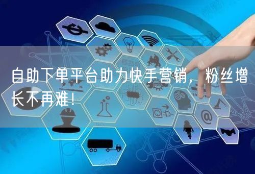 自助下单平台助力快手营销，粉丝增长不再难！