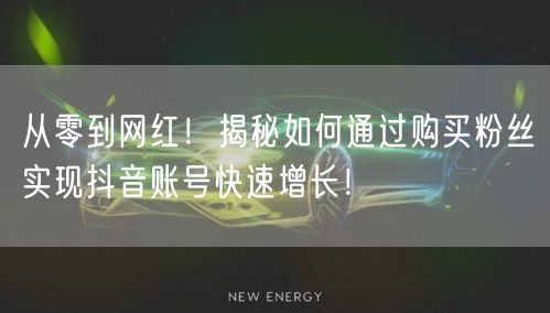 从零到网红！揭秘如何通过购买粉丝实现抖音账号快速增长！